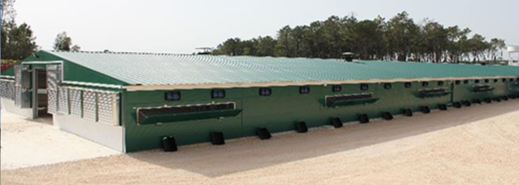 poultry farming project